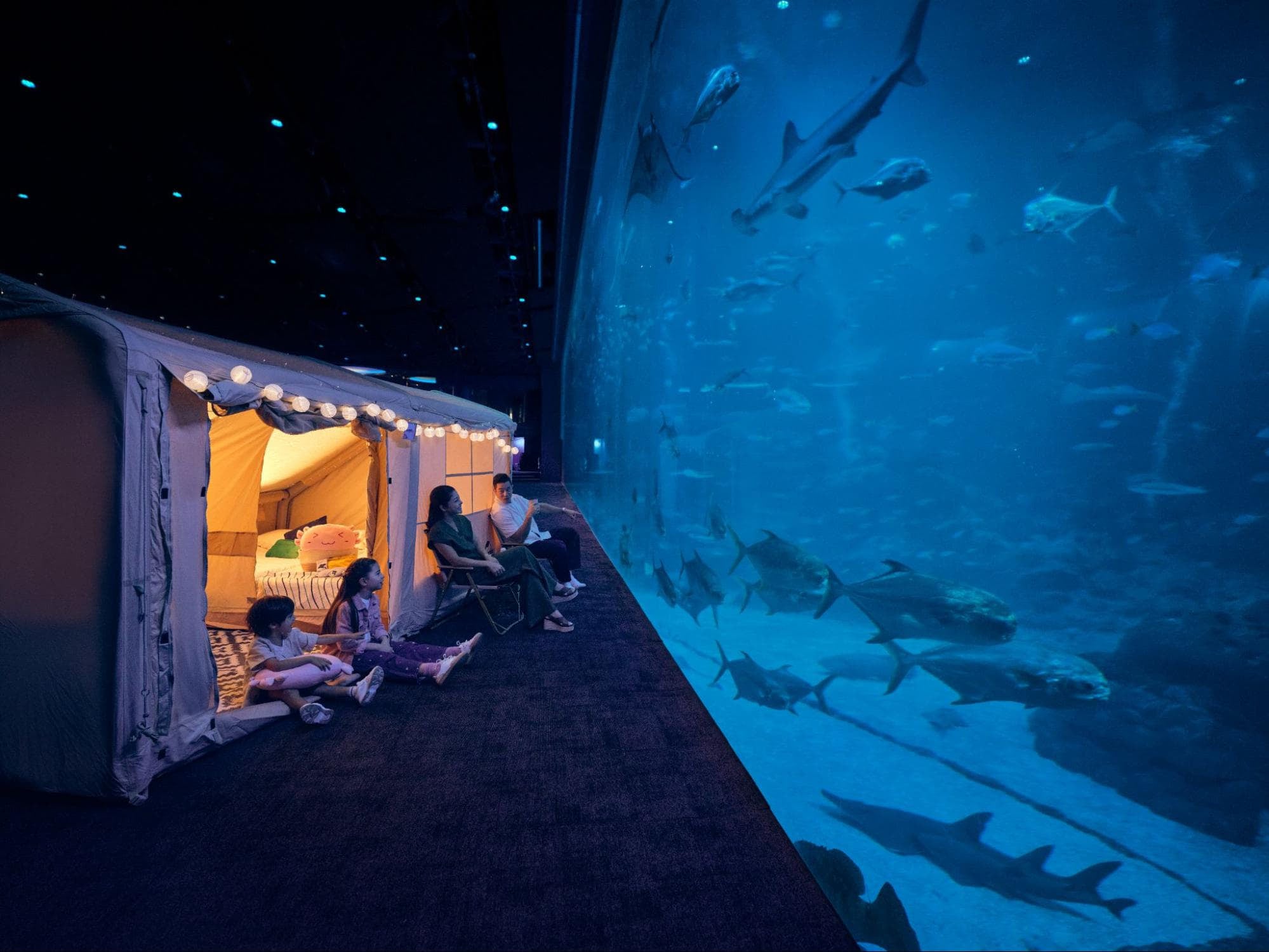 june holidays 2026 - ocean dreams
