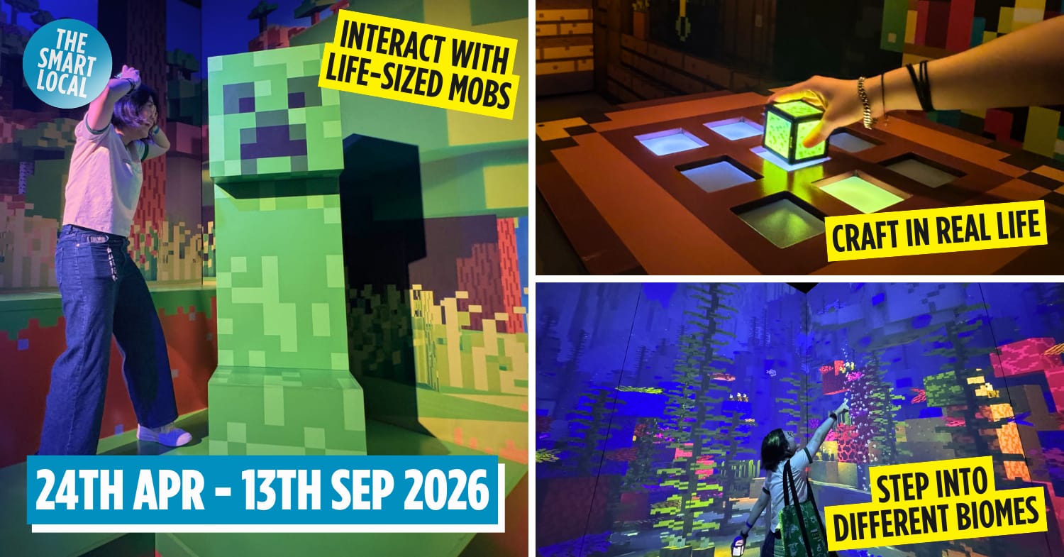 Minecraft Experience Cover