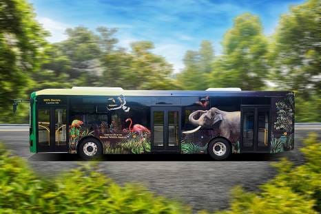 M2 Shuttle Bus