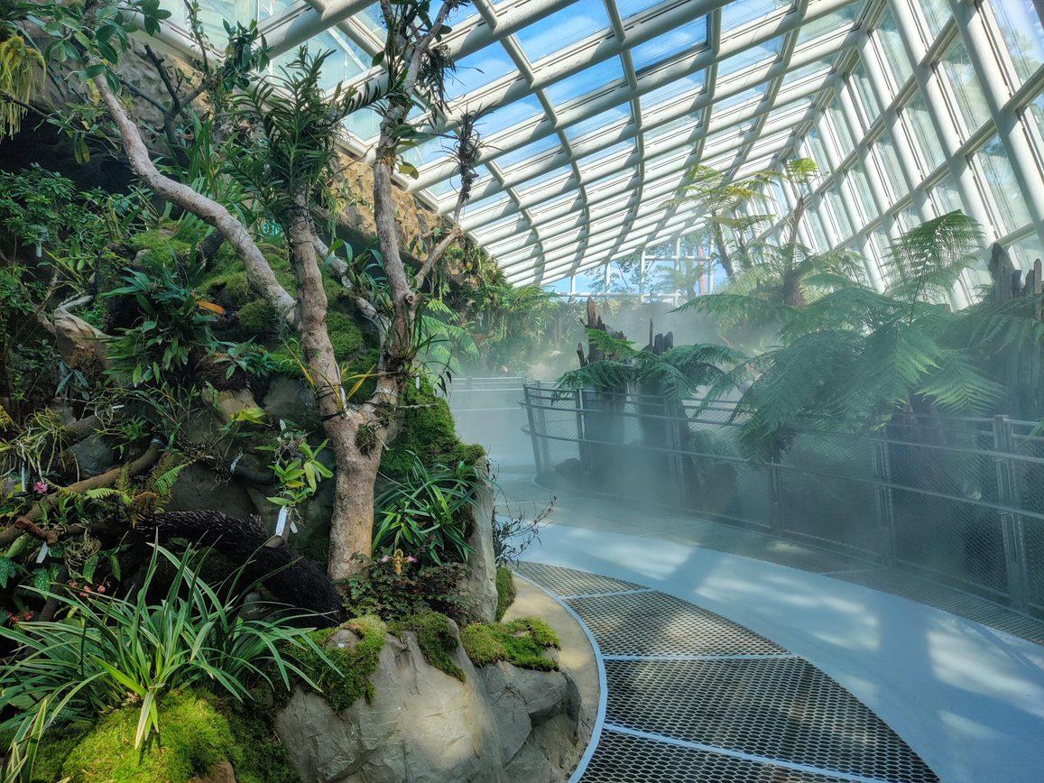National Orchid Garden Sembcorp Cool House