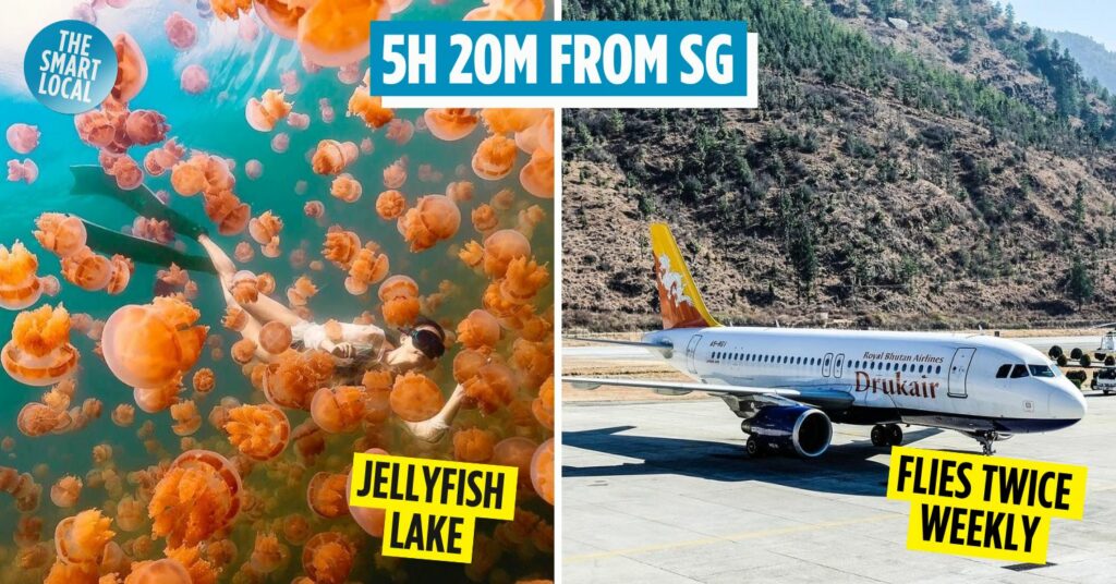 Singapore to Palau flights