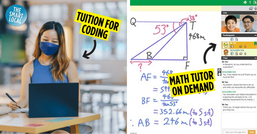 Best Online Tutors