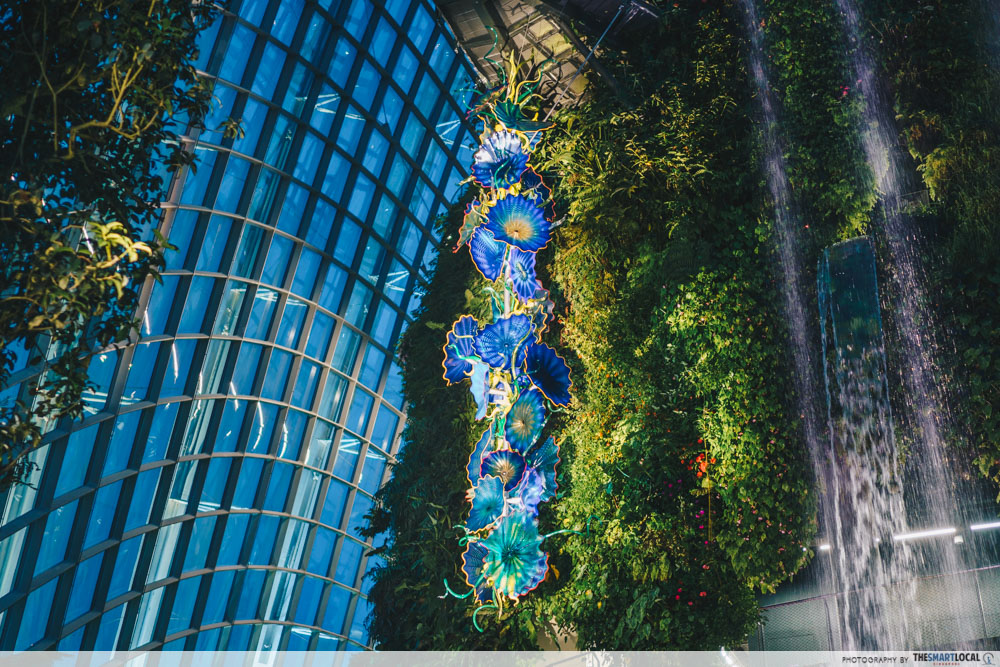 cloud forest
