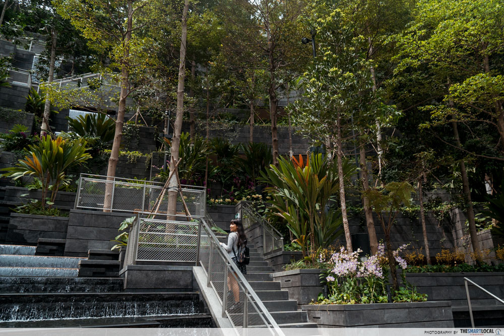 coldest places forest valley at jewel changi