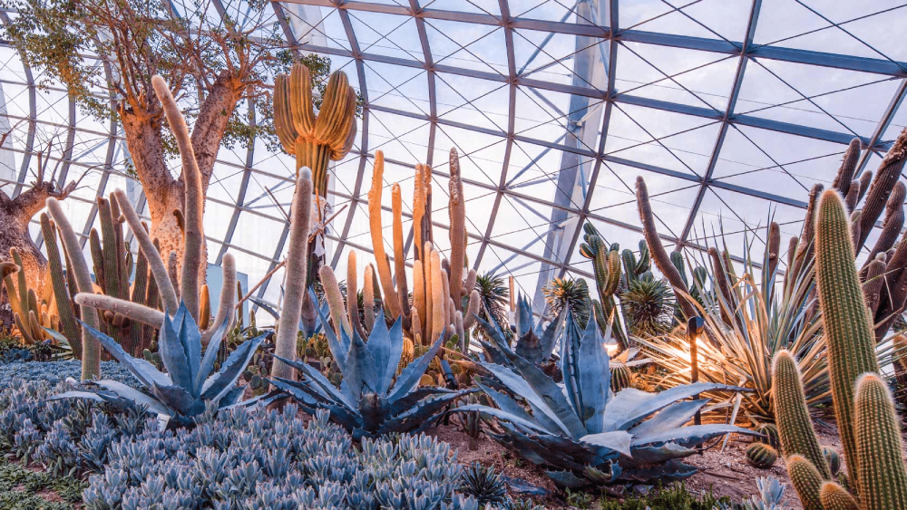 gardens by the bay