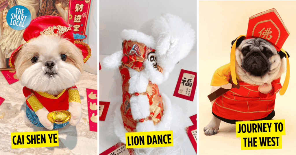 dog clothes & costumes for cny - cai shen ye/god of fortune, lion dance, tan sanzang