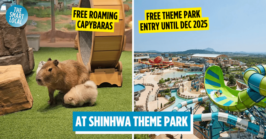 Jeju Capybara MomoZoo - Shinhwa Theme Park