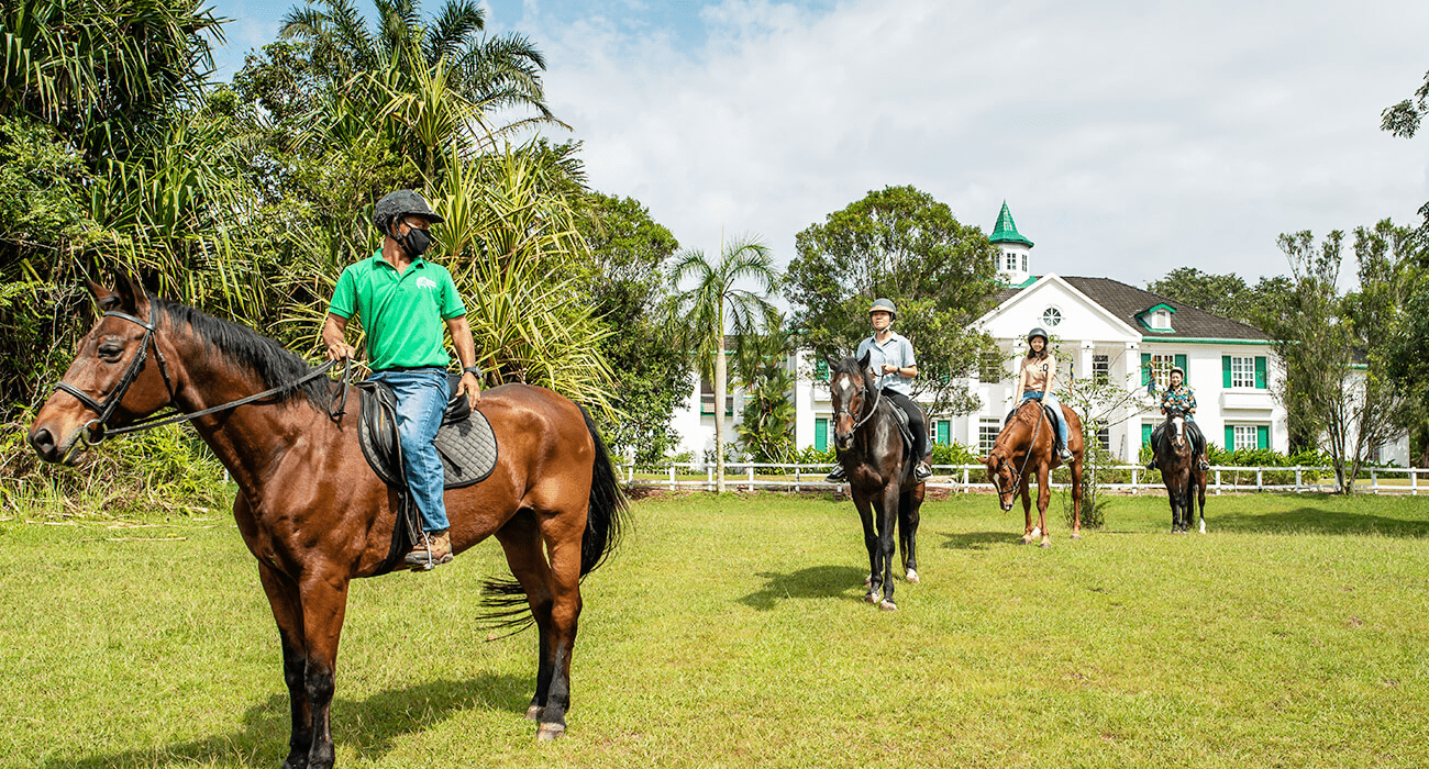 kulai itinerary - riders resort horse riding