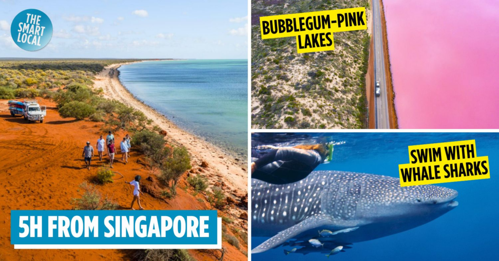 Things to do in Western Australia - cover image